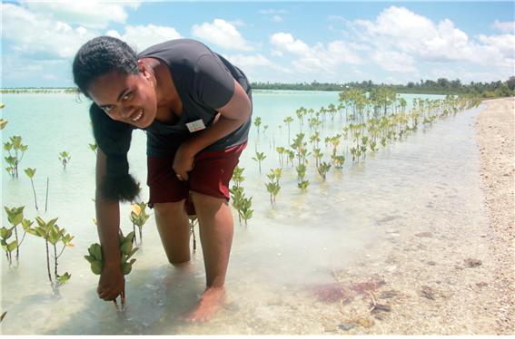 ▲ Tekimau Otiawa inspects the mangroves in Bonriki, a nursery for Mangroves. ⓒwww.climate.gov.ki