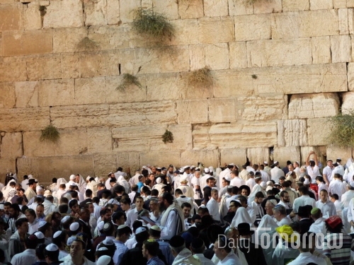 '욤키푸르'를 맞아 통곡의 벽 앞에 모인 이스라엘 사람들 (사진=장주현)