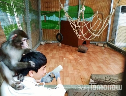 군 입대를 앞두고 휴학한 기간에 동물원에서 사육사로 일하며 원숭이 알콩이를 만났다.