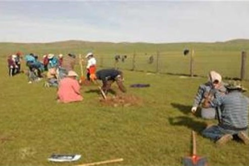 몽골 아르갈란트 지역에서 나무를 심기 위해 구덩이를 파고 있다. (사진=서울시)