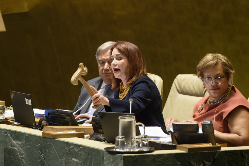 UN총회 개회 선포하는 에스피노사 의장. 에스피노사 의장은 역대 총회의장 가운데 여성으로는 네번째다. ⓒUN.Loey Felipe