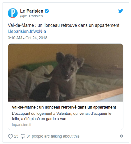 23일(현지시간) 프랑스 파리의 한 아파트에서 불법으로 새끼 사자를 키우던 30세 남성이 파리 경찰에 체포됐다.사진=르파리지앵