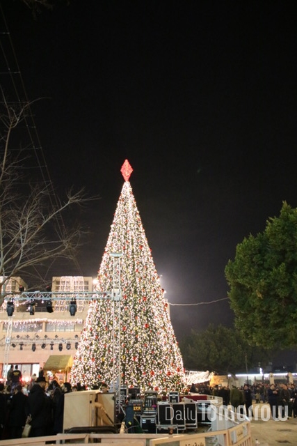베들레헴 성탄전야제가 열리는 광장에 설치된 대형 크리스마스  트리가 불을 밝히고 있다. (사진 장주현 글로벌리포터)