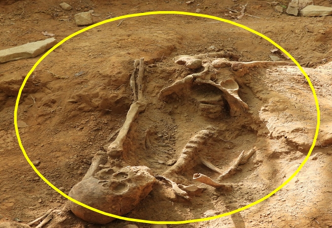 지난 17일 화살머지고지에서 발굴된 유해 (사진 국방부)