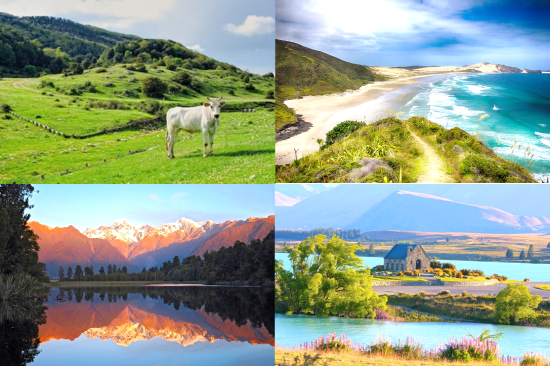 '천혜의 자연'을 가진 나라, 뉴질랜드. 에메랄드 빛 해변, 푸른 녹음의 초원, 새하얀 눈으로 덮인 산, 짙은 파란빛을 간직한 피오르 호수 등 그 어떤 나라보다 다양한 색(色)을 가진 뉴질랜드는 자타공인 전 세계인들에게 사랑 받는 휴양지이다.ⓒPixabay