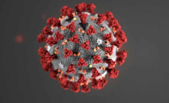 미국 질병통제예방센터(CDC)에서 신종 코로나바이러스의 구조를 실제와 비슷하게 구현한 3D 이미지 (사진 CDC)