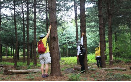 서울대공원의 산림치유프로그램이 서울시에서 최초로 환경부 지정 우수 환경교육프로그램으로 선정됐다. 사진=서울대공원 제공