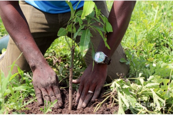 지난해 6월, 아무지코페 마을 사람들과 함께 나무 심기 캠페인을 진행했다. 빈 들에 3천 그루의 나무를 심으며, 언젠가 그곳이 울창한 숲이 될 상상을 했다.