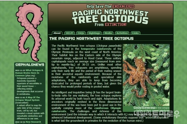 https://zapatopi.net/treeoctopus/ ‘멸종 위기에 처한 태평양 북서부 연안 지역의 나무문어를 구하자’ 홈페이지 대문.