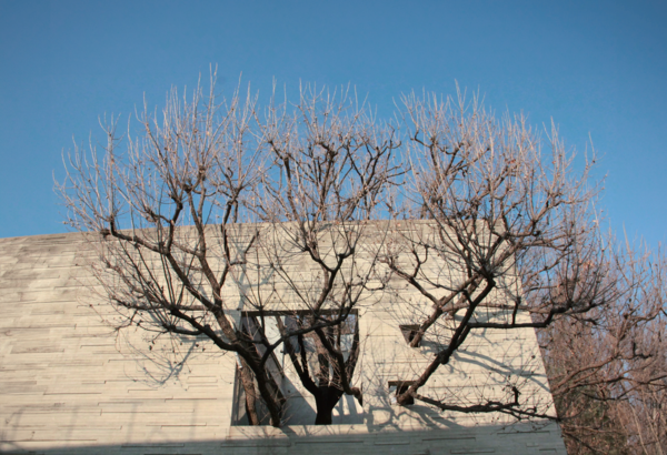 헤이리의 블루메 박물관. 굴참나무가 랜드마크이다. 사진 박가원 객원기자