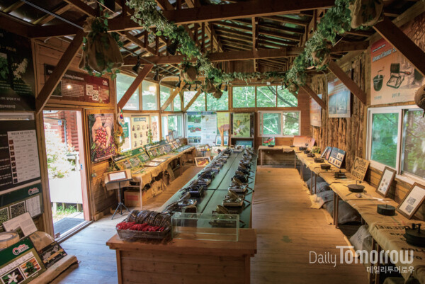 ���� �ջ�鿡 ��ġ�� ����Ŀ�ǹڹ���, øø���� ��¥�⿡ �ִ� �ǹ� �ټ� ������ �� ���� Ŀ�� ��ȭ�� ���縦 �Ѵ��� �� �� �ִ�. ���� �豳ȯ ����