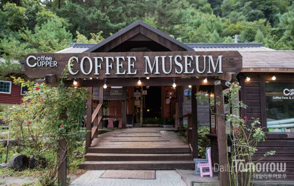 ���� �ջ�鿡 ��ġ�� ����Ŀ�ǹڹ���, øø���� ��¥�⿡ �ִ� �ǹ� �ټ� ������ �� ���� Ŀ�� ��ȭ�� ���縦 �Ѵ��� �� �� �ִ�. ���� �豳ȯ ����