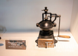 ���� �豳ȯ ����